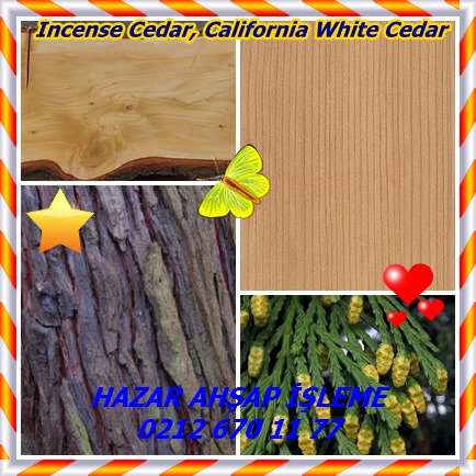 catsIncense Cedar, California White Cedar12