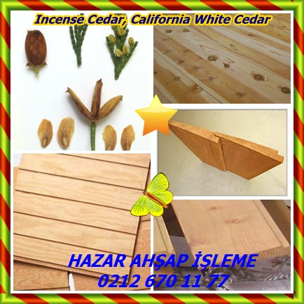 catsIncense Cedar, California White Cedar39658