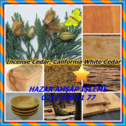catsIncense Cedar, California White Cedar65